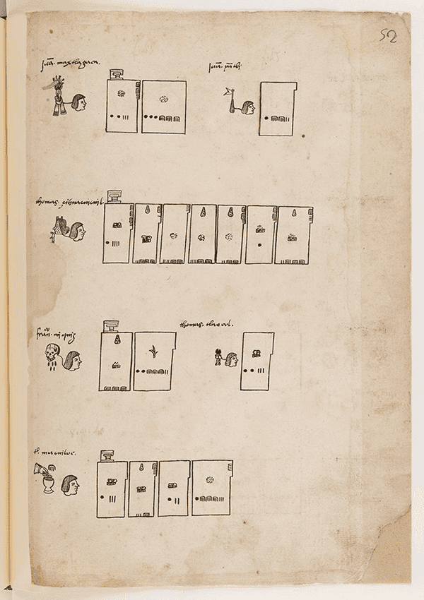 Codex Vergara