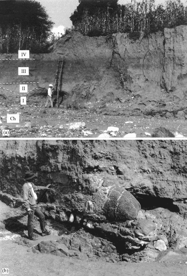 Exposure of alluvial deposits along the Barranca Nacional